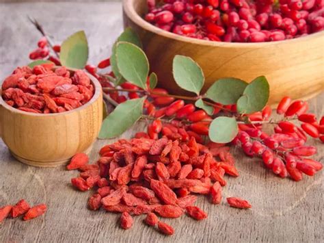 Gou Qi Zi (Goji berries) in Chinese Medicine.